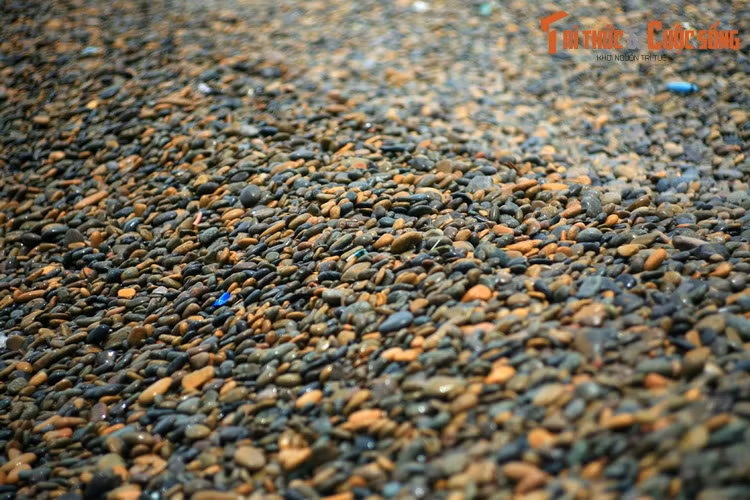 Hiện tượng đá được đẩy lên bờ ngày nào cũng diễn ra, trong suốt hàng nghìn năm qua. Đúng như tên gọi bãi đá bảy màu, đá có rất nhiều màu sắc như đỏ, nâu, vàng, tím, lam, xám, trắng… Các viên đá có nhiều hình dạng, kích thước lớn nhỏ khác nhau.
