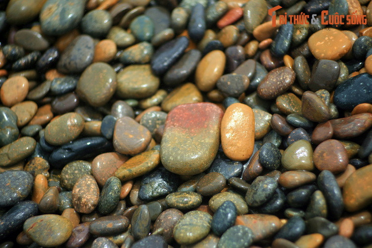 Theo ước tính, trữ lượng đá bãi đá Bảy Màu lên đến 250.000 m3. Dù có giá trị trong xây dựng, nhưng việc khai thác đá hoàn toàn bị cấm ở đây.