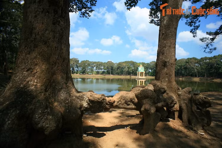  5. Ao Bà Om (Trà Vinh). Nằm ở thành phố Trà Vinh, Ao Bà Om là một cảnh quan độc đáo của tỉnh Trà Vinh. Đây là một ao nhân tạo có hình chữ nhật, rộng 300 mét, dài 500 mét, xung quanh có nhiều cây cổ thụ. Lịch sử của ao gắn với một truyền thuyết của người Khmer trong vùng.