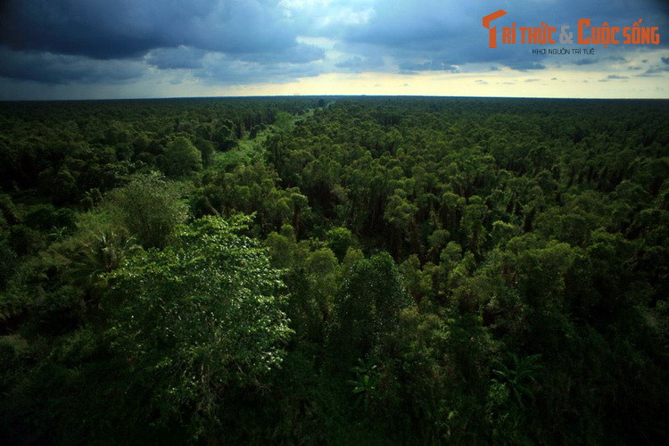  3. Rừng U Minh (Kiên Giang và Cà Mau). Rừng U Minh rộng 2.000 km2, là kiểu rừng rất đặc thù, độc đáo và quý hiếm trên thế giới, gồm VQG U Minh Thượng và VQG U Minh Hạ. Khu rừng này được biết đến rộng rãi qua tác phẩm "Đất rừng Phương Nam" của nhà văn Đoàn Giỏi.