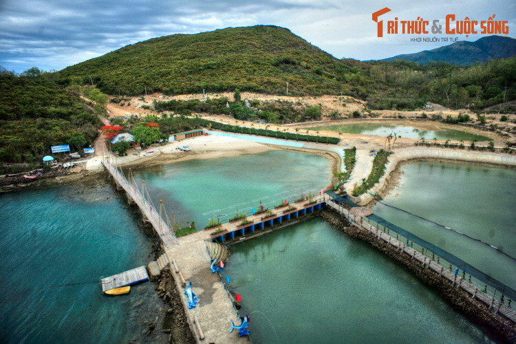  7. Hồ cá Trí Nguyên. Nằm ở đảo Hòn Miễu, hồ cá Trí Nguyên có nhiều hồ nước mặn được ngăn lại bằng hệ thống kè đá, bên trong thả nhiều loài sinh vật biển quý hiếm. Nơi đây cũng có một khu thủy cung trong nhà với quy mô khá lớn.