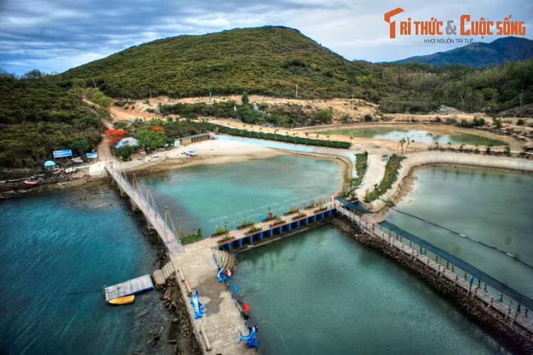  7. Hồ cá Trí Nguyên. Nằm ở đảo Hòn Miễu, hồ cá Trí Nguyên có nhiều hồ nước mặn được ngăn lại bằng hệ thống kè đá, bên trong thả nhiều loài sinh vật biển quý hiếm. Nơi đây cũng có một khu thủy cung trong nhà với quy mô khá lớn.