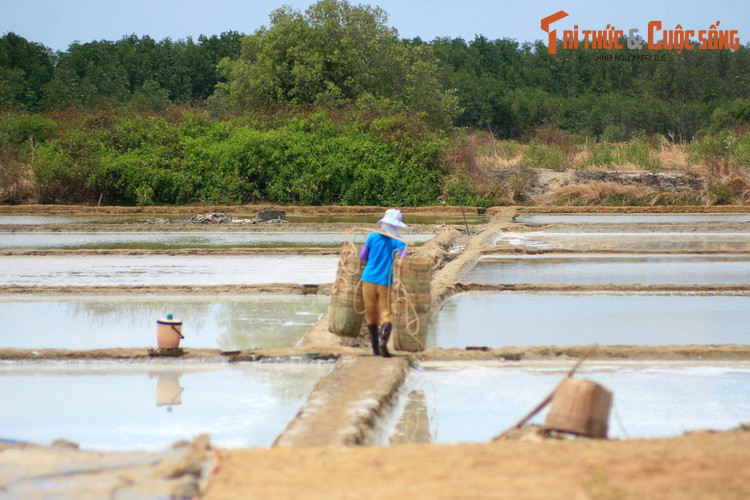 Bên cạnh đó, hình ảnh của những người diêm dân phơi mình dưới cái nắng gay gắt để thu hoạch muối sẽ khiến du khách cảm nhận được rõ nét vất vả của nghề truyền thống này, qua đó trân trọng hơn từng hạt muối mình ăn hàng ngày.