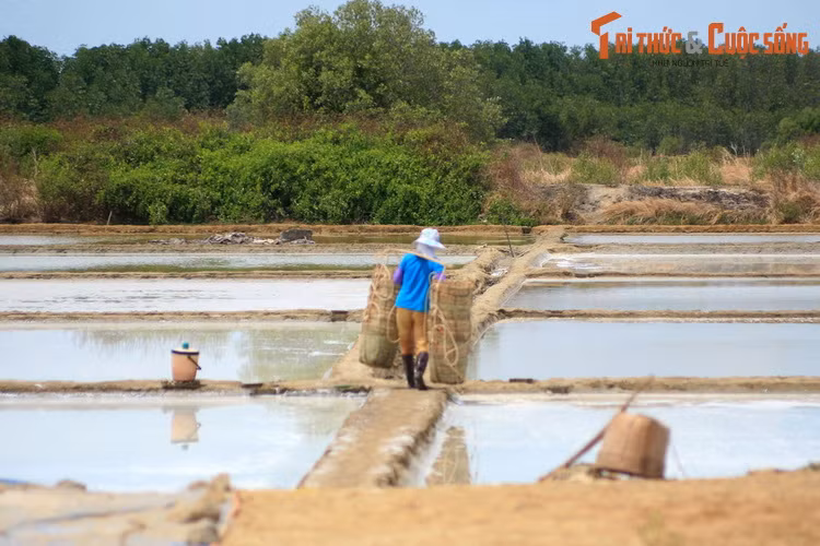 Bên cạnh đó, hình ảnh của những người diêm dân phơi mình dưới cái nắng gay gắt để thu hoạch muối sẽ khiến du khách cảm nhận được rõ nét vất vả của nghề truyền thống này, qua đó trân trọng hơn từng hạt muối mình ăn hàng ngày.