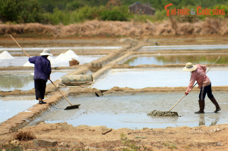 Hàng năm, sản lượng muối ở Cần Giờ đạt trên 80 ngàn tấn. Nhiều kế hoạch cải tạo, nâng cấp đã được áp dụng nhằm mang đến chất lượng muối tốt nhất, đồng thời, hướng tới mục tiêu đưa các cánh đồng muối trở thành điểm tham quan hấp dẫn đối với du khách.