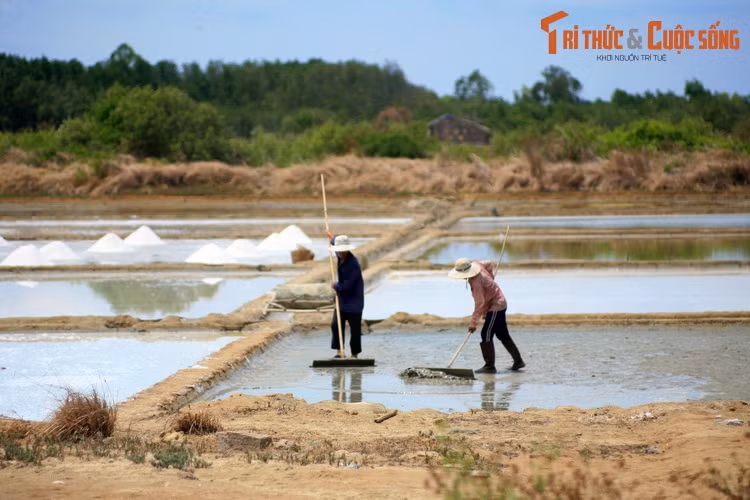  3. Tham quan làng nghề muối. Khám phá nghề làm muối truyền thống là một trải nghiệm đáng giá ở Cần Giờ. Ngày nay, nghề làm muối ở huyện tập trung tại hai xã Lý Nhơn và Thạnh An.