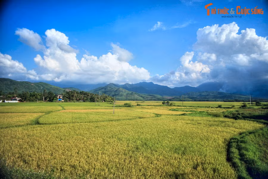 Qua đèo Phước Tượng, cảnh quan thay đổi với những cánh đồng lúa thẳng cánh cò bay, phía xa là những dãy núi nhấp nhô.