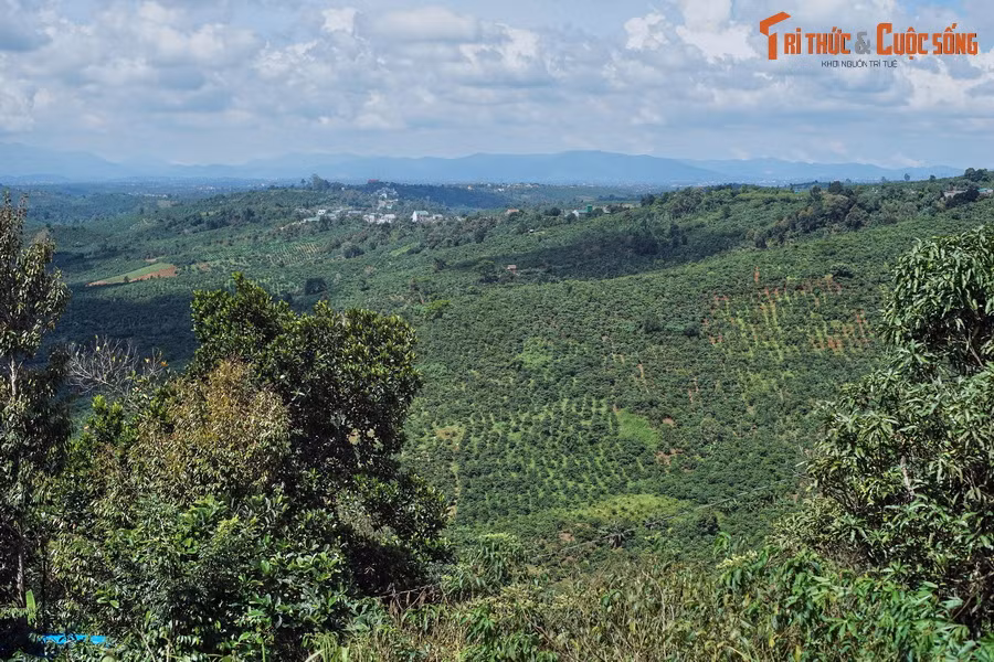 Sang đến địa phận huyện Di Linh, cảnh quan thay đổi với những đồi chè, đồi cà phê trải dài đến hút tầm mắt. Tại cao nguyên Di Linh, du khách có thể dành chút thời gian thăm thác Liên Đầm, còn gọi là thác Bobla, một ngọn thác đẹp nằm ngay cạnh Quốc lộ 20.