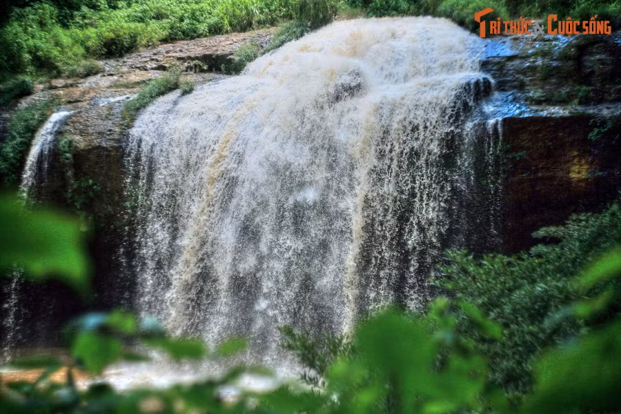 Nằm dưới chân đèo Prenn, cửa ngõ của Đà Lạt, thác Prenn là một trong những thắng cảnh nổi tiếng nhất thành phố ngàn hoa. Còn gọi là thác Tiên Sa, dòng nước ở nơi đây đổ xuống từ độ cao 20 mét, như một dải lụa trắng giữa khu rừng nguyên sinh xanh tốt...