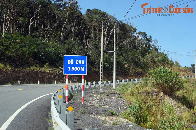 Đến độ cao 1.500 mét, cảm giác se lạnh ập đến, như thể Đà Lạt đã ở rất gần. Trên thực tế, đây mới là điểm giữa của hành trình Nha Trang - Đà Lạt.