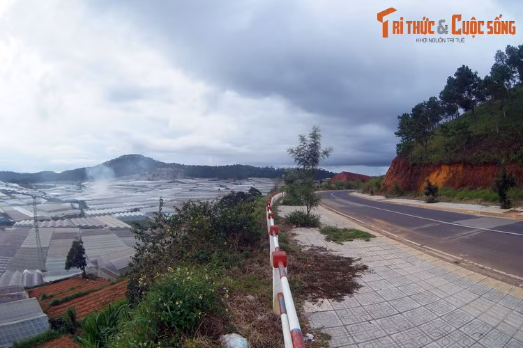 Chặng đường còn lại là khoảng thời gian thư thái với những cung đường uốn lượn qua rừng thông và những khu nông trại trải dài trên sườn đồi núi, trong không khí trong lành và tươi mát đặc trưng của xứ sở cao nguyên...