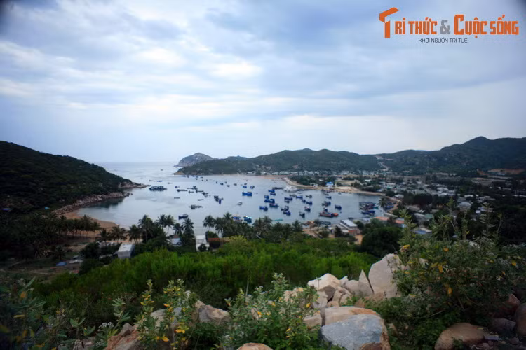 Vịnh Vĩnh Hy là địa điểm hút khách bậc nhất trên đường DT702 là . Đây là một vịnh biển hẹp, được bao quanh bởi ba bề rừng núi bạt ngàn. Bên bờ vịnh là khu làng chài ẩn hiện sau những lùm cây um tùm.