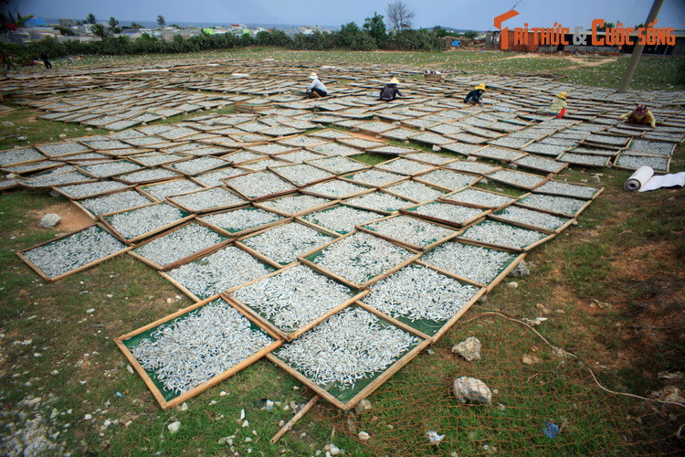 Không chỉ ngắm cảnh, trên đường DT702, du khách còn có dịp khám phá cuộc sống của ngư dân tại các làng chài nằm bên đường.