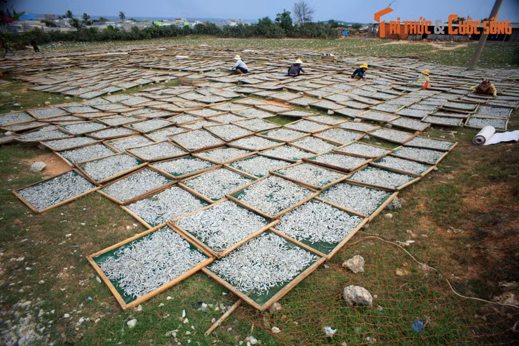 Không chỉ ngắm cảnh, trên đường DT702, du khách còn có dịp khám phá cuộc sống của ngư dân tại các làng chài nằm bên đường.