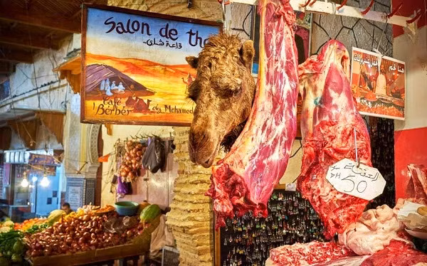 Fez ở Morocco đặc biệt nổi tiếng với những món ăn từ thịt cừu đậm đà hương vị và màu sắc. Ngoài ra du khách có thể thưởng thức những món ăn cổ điển như súp harira, bánh kếp, bánh mì độc đáo.