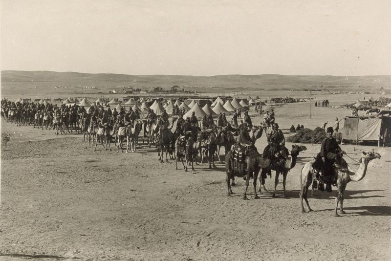 Sau đó lạc đà gắn liền với những cuộc chinh phạt trên sa mạc, tương tự ngựa ở khắp nơi trên thế giới. Ngựa vẫn có thể hoạt động tốt trên sa mạc nhưng chúng không thể so sánh với lạc đà về tính hiệu quả. Ảnh: Warspot.