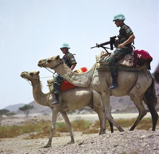 Quân đội một số nước như Ấn Độ, Jordan vẫn sử dụng lạc đà cho nhiệm vụ tuần tra biên giới. Ảnh: Warspot.