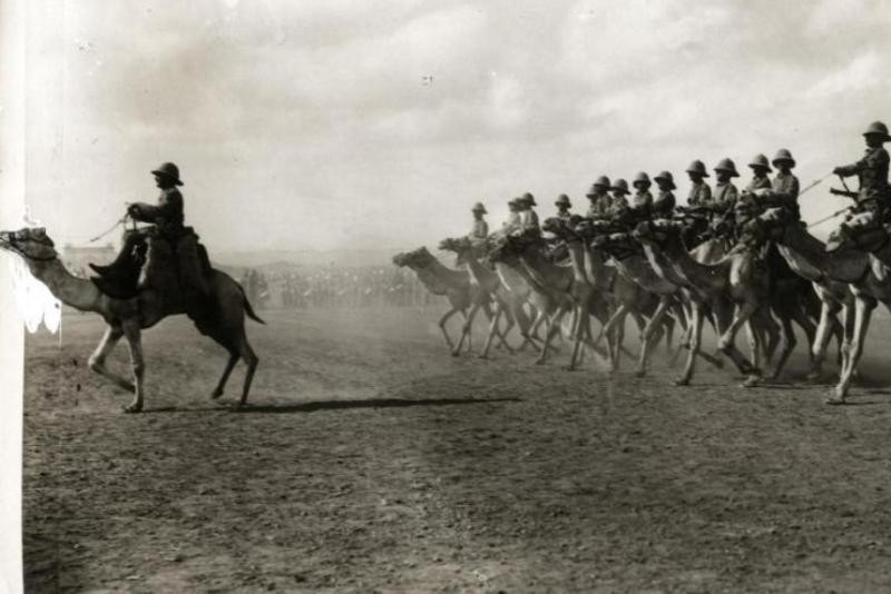Những binh đoàn kỵ binh lạc đà thống trị các vùng sa mạc và trở thành sát thủ đối với kỵ binh. Những con lạc đà ngoài khả năng chịu đựng phi thường với điều kiện thời tiết khắc nghiệt trên sa mạc, chúng phát ra thứ mùi đặc trưng làm cho ngựa hoảng loạn và mất phương hướng. Ảnh: Warspot