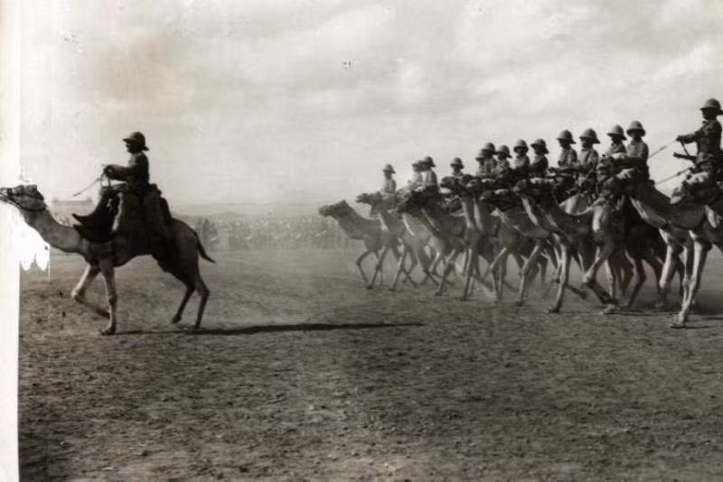 Những binh đoàn kỵ binh lạc đà thống trị các vùng sa mạc và trở thành sát thủ đối với kỵ binh. Những con lạc đà ngoài khả năng chịu đựng phi thường với điều kiện thời tiết khắc nghiệt trên sa mạc, chúng phát ra thứ mùi đặc trưng làm cho ngựa hoảng loạn và mất phương hướng. Ảnh: Warspot