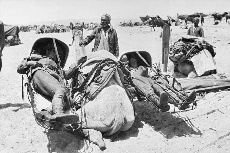 Lạc đà có thể sử dụng cho mọi nhiệm vụ, từ vận chuyển con người, hàng hóa đến xung trận. Nó có thể chạy trên sa mạc với tốc độ tối đa 65 km/h, tốc độ duy trì ở mức 40 km/h. Ảnh: Warspot.