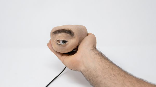 Chiếc webcam Eyecam này không phải là camera của một thiết bị gia đình nào đó. Nó được gắn trên mặt trước của máy tính với khả năng nhìn trái, phải, thậm chí nhấp nháy, theo dõi khuôn mặt trong lúc gọi điện video call.