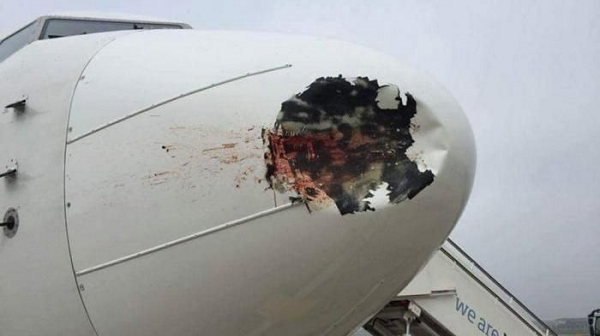 Với các vụ va chạm với chim nhỏ vào vỏ máy bay, các bộ phận khác không có cảm biến thì phi công khó biết. Điều này lý giải vì sao kiểm tra máy bay vừa hạ cánh an toàn, thợ máy vẫn thấy vết máu, lông chim dính vào vỏ máy bay hoặc những vết lõm nhỏ.