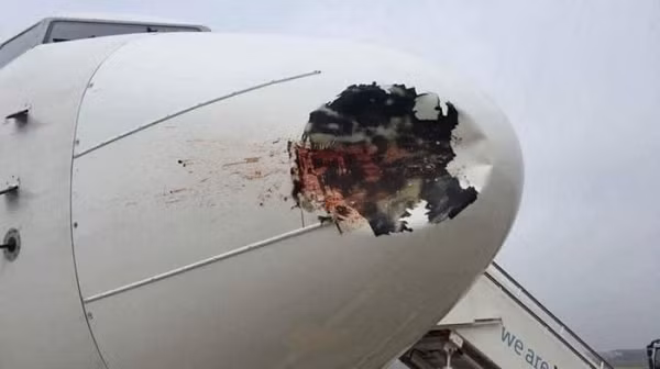 Với các vụ va chạm với chim nhỏ vào vỏ máy bay, các bộ phận khác không có cảm biến thì phi công khó biết. Điều này lý giải vì sao kiểm tra máy bay vừa hạ cánh an toàn, thợ máy vẫn thấy vết máu, lông chim dính vào vỏ máy bay hoặc những vết lõm nhỏ.