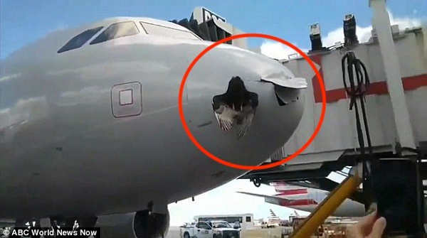 Các vụ máy bay va chạm với chim rất nguy hiểm nếu vị trí va chạm xảy ra ở động cơ. Các loài chim lớn đáng sợ hơn chim nhỏ vì khi chim va phải máy bay, chúng có thể bị hút vào động cơ và làm gãy cánh quạt. Chiếc cánh gãy bị hút sâu vào bên trong động cơ và làm hỏng các bộ phận khác.