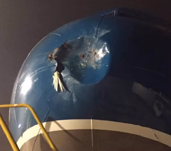 Trước đó, chiếc máy bay Airbus A350 của Hãng hàng không China Airlines (Đài Loan) thực hiện chuyến bay CI 783 từ Đài Bắc đến Tân Sơn Nhất (TP.HCM) cũng phải sửa chữa vết lủng vỏ thân máy bay do va chạm với chim.