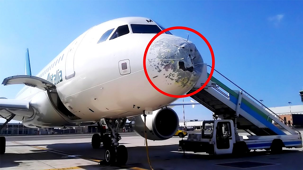 Máy bay bay với tốc độ 900 - 1.000km/h thì dù va chạm với chim mềm, nhỏ hơn máy bay nhiều lần nhưng hậu quả rất lớn vì cú va đập ở tốc độ rất cao.