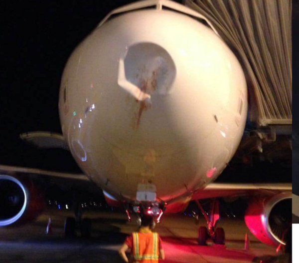 Máy bay bị chim đâm phải diễn ra hàng ngày trên khắp thế giới, nhưng không phải vụ nào cũng gây ra tai nạn. Kể từ năm 1988 đến nay có hơn 200 người chết trong các vụ tai nạn máy bay liên quan tới động vật, gây thiệt hại hơn 600 triệu USD mỗi năm.