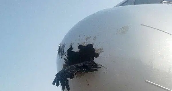 Lực va chạm giữa 2 vật ở trạng thái chuyển động mạnh hơn rất nhiều lần so với trạng thái tĩnh. Ô tô va chạm ở mặt đất thì xe bé bị nặng hơn xe to vì tốc độ dưới đất tối đa cũng chỉ 120 km/h.