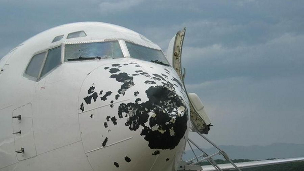 Vậy tại sao những con chim bé nhỏ và mềm lại có thể khiến máy bay vốn được làm bằng chất liệu siêu cứng móp méo và tai nạn?