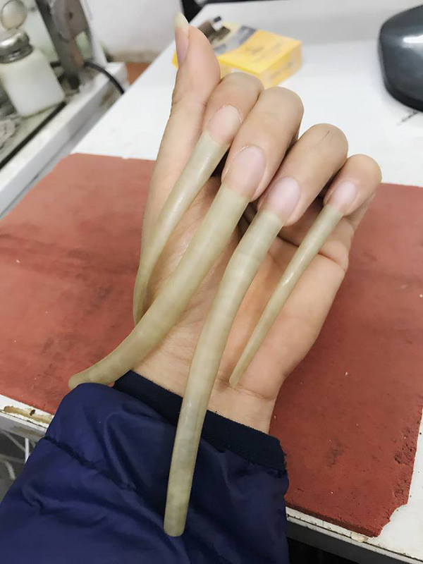 Vậy giới hạn của những bộ móng tay là gi? Chúng có thể dài tối đa tới bao nhiêu? Móng tay là do một loại chất protein sừng cứng tạo thành. Loại protein này được hình thành từ tế bào biểu bì.