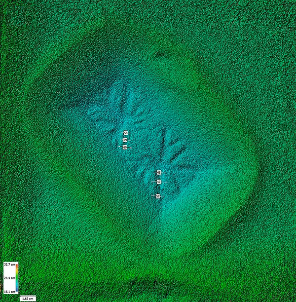 Theo NASA, bầu khí quyển của sao Hỏa chứa hơn 95% carbon dioxide (CO2), rất nhiều băng cùng sương giá xung quanh các cực của hành tinh vào mùa đông cũng được tạo thành từ CO2.