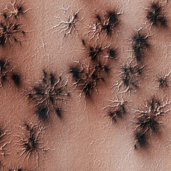 Trong một nghiên cứu mới được công bố trên tạp chí Scientific Reports, các nhà khoa học đã tái tạo thành công phiên bản thu nhỏ của "nhện sao Hỏa" trong phòng thí nghiệm.