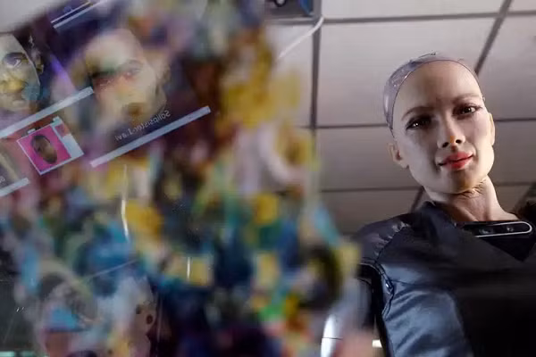 Hành động vẽ tranh của Sophia được thực hiện "hoàn toàn dựa trên những quyết định nó đưa ra mà không có bất kỳ sự can thiệp nào từ con người" - theo Nifty Gateway, chợ NFT nơi tác phẩm của Sophia được lưu trữ.