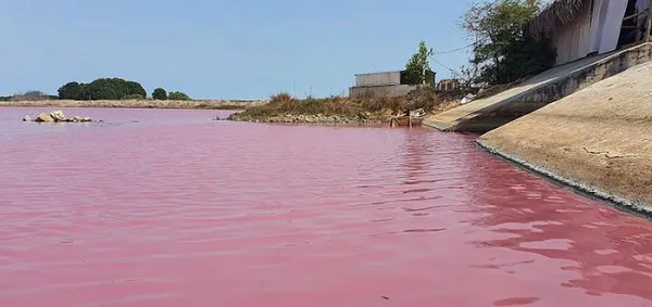 Để xử lý màu kỳ lạ này giúp người dân bớt hoang mang, nên pha loãng nước muối trong hồ, tuy nhiên việc này có thể dẫn đến một số rủi ro.