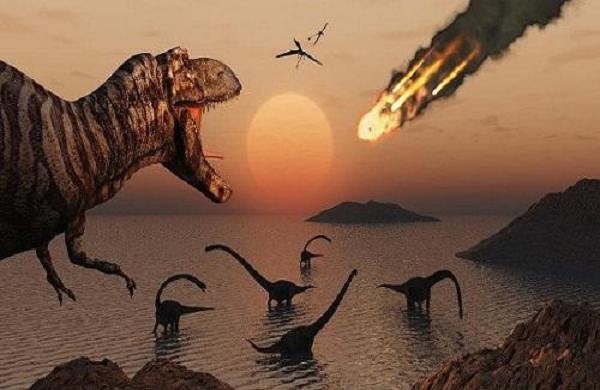 Kết quả thu được cho thấy những thực vật với quả hình nón thuộc ngành thông và cây dương xỉ mọc phổ biến trước khi thiên thạch khổng lồ đâm xuống khu vực ngày nay là bán đảo Yucatan ở Mexico.