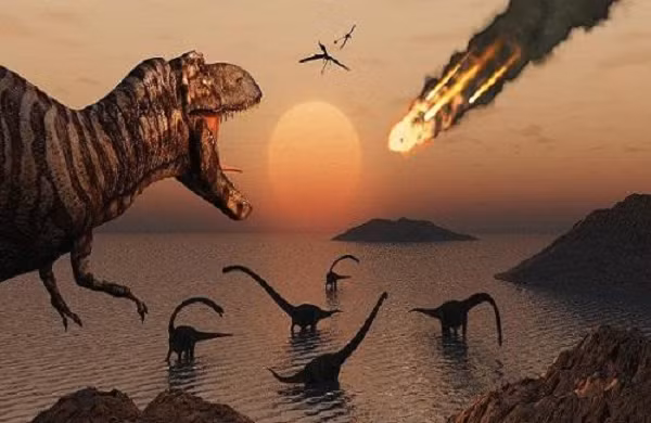 Kết quả thu được cho thấy những thực vật với quả hình nón thuộc ngành thông và cây dương xỉ mọc phổ biến trước khi thiên thạch khổng lồ đâm xuống khu vực ngày nay là bán đảo Yucatan ở Mexico.