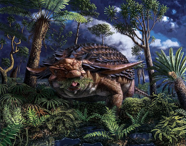 Hoặc cũng có thể, những khu rừng nhiệt đới ngày nay như Amazon là kết quả tổng hợp của cả ba giả thuyết trên.