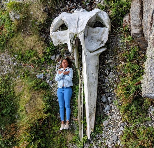 Đây là xương sọ của một con cá voi.