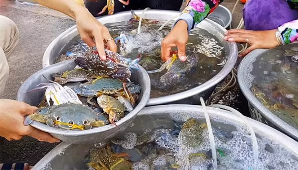 Các chuyên gia trên tờ Health Fitness Revolution cho biết, những người sử dụng hải sản có thể ngừa được bệnh tim mạch, tốt cho xương khớp, tốt cho làn da và tăng cường trí não.