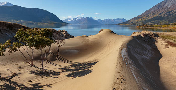 Nó thực ra là một vùng cát lớn hình thành cuối Kỷ Băng hà, khi các hồ băng xuất hiện. Theo thời gian, những hồ băng này bốc hơi và để lộ ra lớp cát dưới đáy hồ như ta thấy ngày nay.