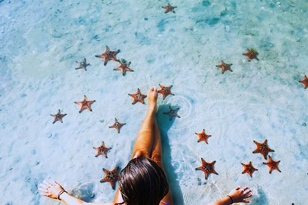 Ít ai ngờ rằng sao biển - những sinh vật tuyệt đẹp biến hóa diệu ảo đầy màu sắc dưới đáy đại dương này lại là những động ăn thịt vô cùng tham lam.