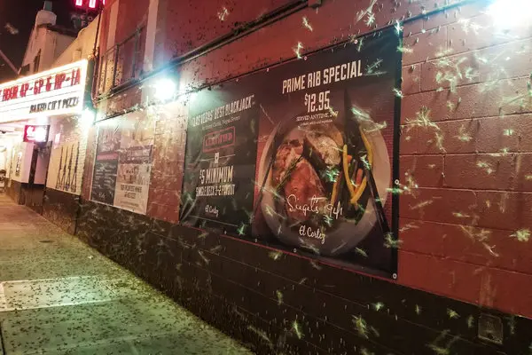 Tuy nhiên không phải mọi người đều thoải mái trước cuộc xâm lược của châu chấu. “Thật điên cuồng. Chúng tôi không dám đi qua nó (đàn châu chấu)” một người dân địa phương cho biết. “Chúng tôi không biết chuyện gì đang xảy ra!”.