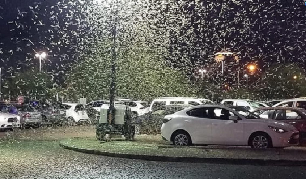 Sau khi nghiên cứu về cuộc "xâm lược" của châu chấu ở Las Vegas vào năm ngoái, các nhà khoa học đã kết luận rằng, loài côn trùng này bị thu hút bởi ánh sáng của thành phố về đêm vào thời điểm đó.