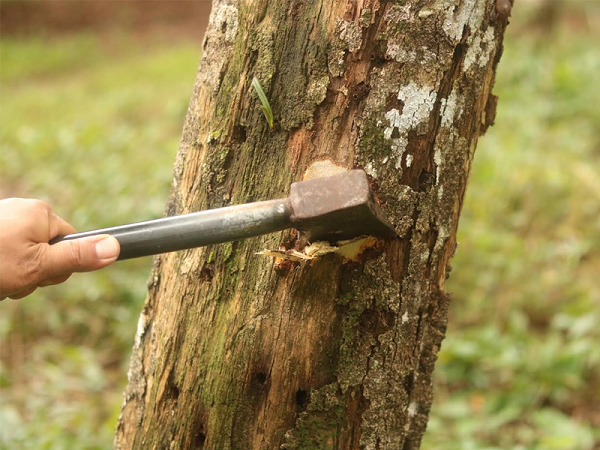 Mùi hương trầm có tác dụng an thần, nâng cao khả năng tập trung, minh mẫn, định thần, thường được dùng trong việc thiền định, giúp tâm kiên định, thư thái, từ đó mà xua đuổi những thứ tà tâm, ma quỷ.