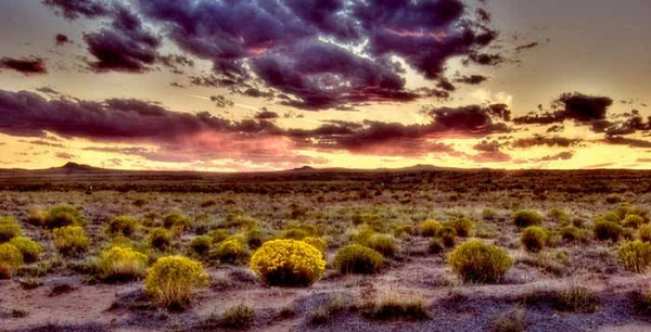 Hiện tượng bí ẩn trên đến nay vẫn chưa có lời giải đáp. Nhiều người cho rằng, hiện tượng này xảy ra do tác động của một thế lực bí ẩn ngoài Trái đất.