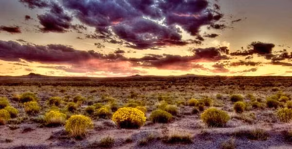 Hiện tượng bí ẩn trên đến nay vẫn chưa có lời giải đáp. Nhiều người cho rằng, hiện tượng này xảy ra do tác động của một thế lực bí ẩn ngoài Trái đất.